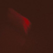 BROUILLON V3 [Ep]