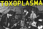 Toxoplasma