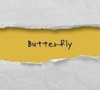Butterfly