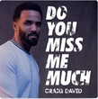 Do You Miss Me Much [Single]