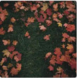 October Passed Me By [Single]