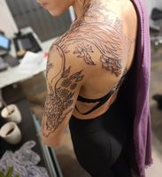 Marjolaine 162480
