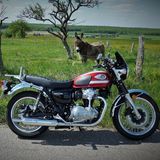 Jean Luc 299226