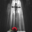 Lost Your Faith [Single]