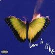 Love Is Like