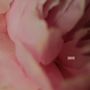 Survive [Single]
