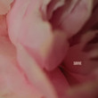 Survive [Single]