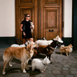 Chiens [Single]