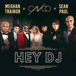 Hey DJ (Remix) [Single]