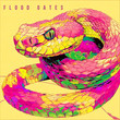 Flood Gates [Single]