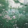 deep love of Jesus (& Hillside Recording)