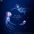 Into The Deep (Seas Cry) [Single]