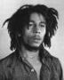 reggaemassiv