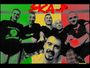 reggaemassiv