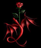 mymy9