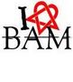 BaM  bOx  Blink
