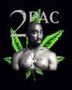 nate_dogg