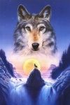 [LP]wolfgirl