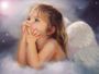 shal.angel