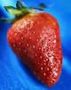 fraise_tagada