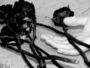 Peste-noire