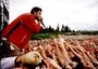 Néo-Deftones