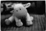 *hOpE*