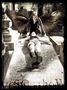 *angel death*