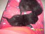 X_x*Boubou*x_X