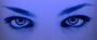 ~Amy_lee~