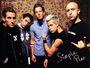 fans_de_simple_plan