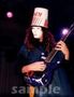 Lynn_Strait666