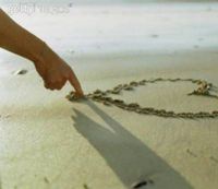¤Luciole¤
