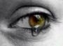 ¤Luciole¤