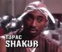 ====>TUPAC<====