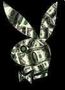 playboy master