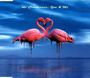 LoVeCrAnBeRrIeS