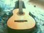Crevette_sp