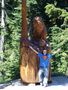 mighty_beaver