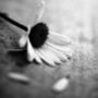 ...::RiOt GirL::...