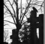 Panzergoth502