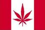 mary jane