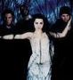 amylee962