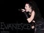 amylee962