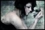 Broken-Doll-x