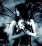 *¤-Veniality-¤*