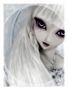 *¤-Veniality-¤*