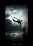 Eternally Yours