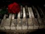Eternally Yours