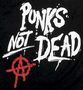 punk-rock-lyssoute
